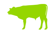 green and white cattle graphic