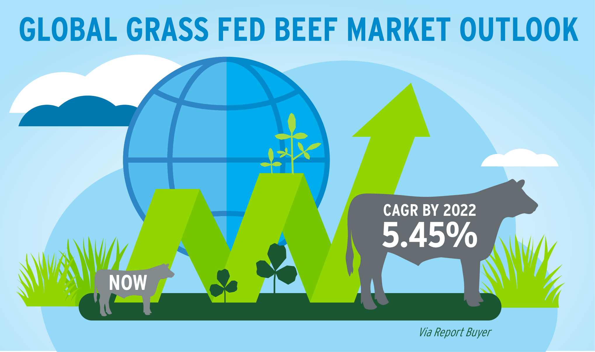grass fed beef stats