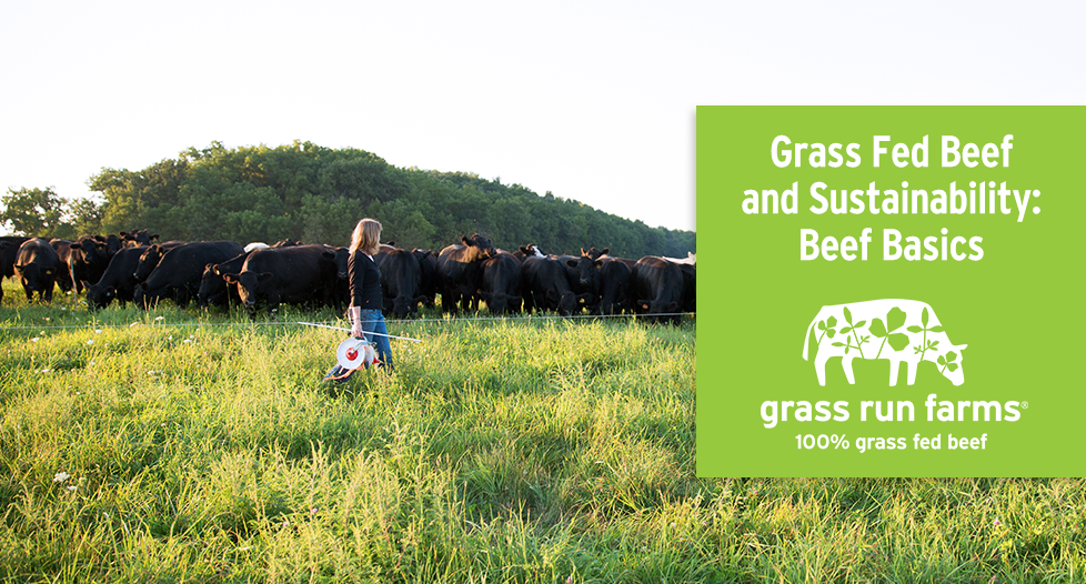 Grass Fed Beef and Sustainability Beef Basics