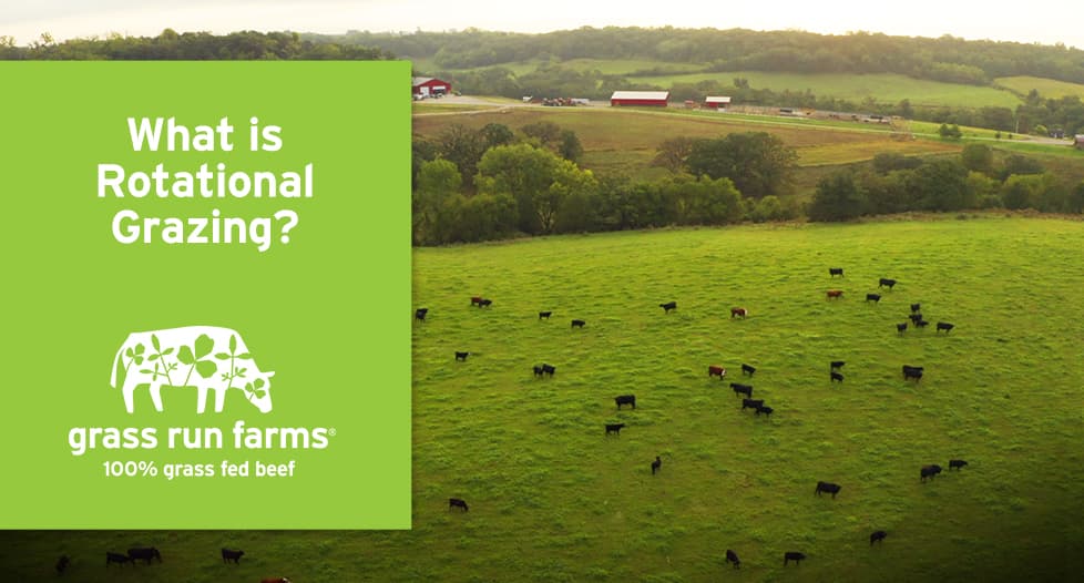 what is rotational grazing