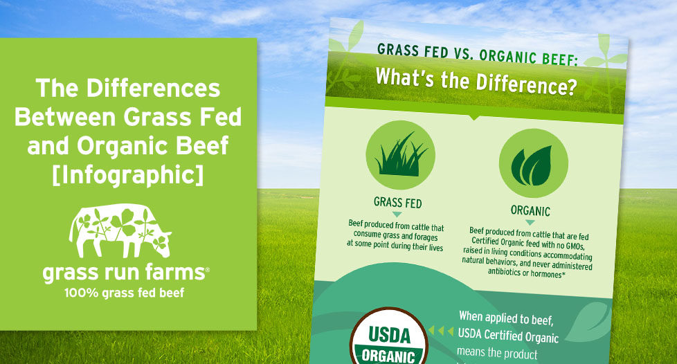 Difference between grass fed and organic beef