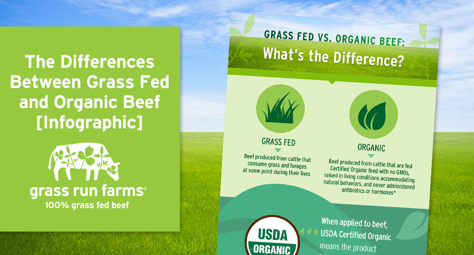 Grass Fed Vs Organic Beef What s The Difference Grass Run Farms