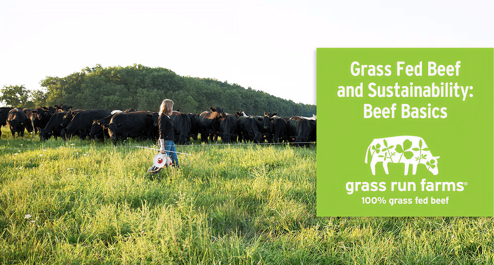 Grass Fed Angus Beef and Sustainability: How It Impacts the Environment